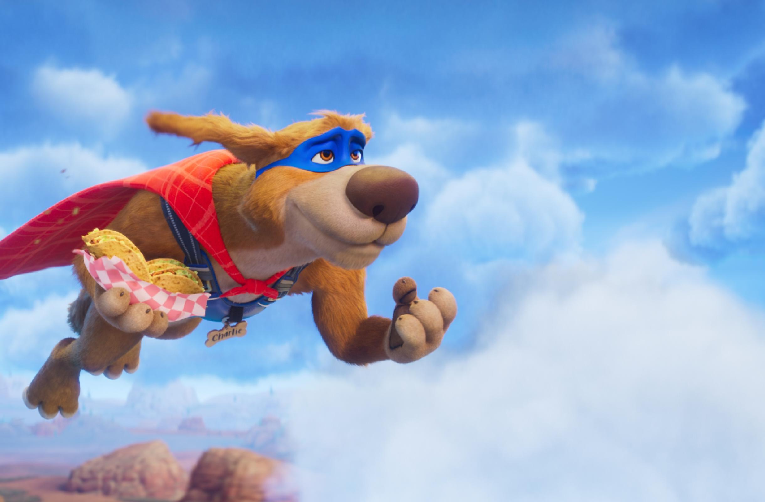 Movie poster for Charlie The Wonderdog