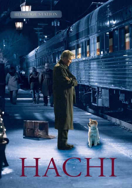 Hachi